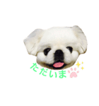 chirol1016（個別スタンプ：6）