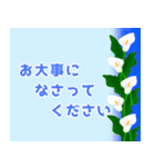 日常会話（猫のにゃっとの日々）（個別スタンプ：8）