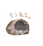 ハムスターまにあ（個別スタンプ：3）