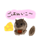 ハムスターまにあ（個別スタンプ：4）