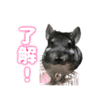 ピッピさん.（個別スタンプ：4）