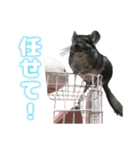 ピッピさん.（個別スタンプ：5）