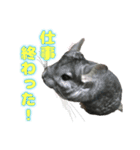 ピッピさん.（個別スタンプ：9）