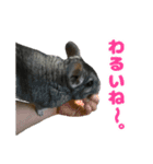 ピッピさん.（個別スタンプ：10）