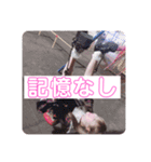 汎用性の高いゆきのちゃんスタンプ（個別スタンプ：8）