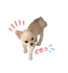 やましたけたち（個別スタンプ：6）