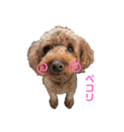 やましたけたち（個別スタンプ：7）