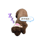 やましたけたち（個別スタンプ：8）