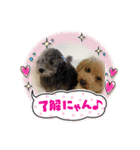 ウィルとリック（個別スタンプ：1）