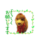 ウィルとリック（個別スタンプ：5）