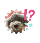 ウィルとリック（個別スタンプ：9）