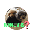 ウィルとリック（個別スタンプ：11）
