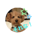 ウィルとリック（個別スタンプ：12）
