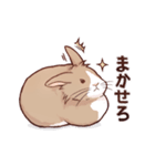 うさぎのせっちゃん（個別スタンプ：13）