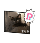 くろねこまもりん（個別スタンプ：5）