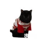 くろねこまもりん（個別スタンプ：6）