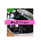 みっちぇる気まぐれ猫スタンプ（個別スタンプ：4）