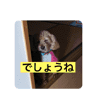 ぬいちゃんpart2（個別スタンプ：8）