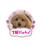 ぬいちゃんpart2（個別スタンプ：10）