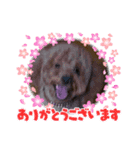 ぬいちゃんpart2（個別スタンプ：15）