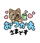 まろんちゃんとくるみちゃんと琥珀ちゃん（個別スタンプ：1）
