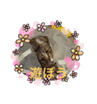 まろんちゃんとくるみちゃんと琥珀ちゃん（個別スタンプ：8）