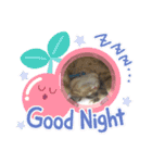 まろんちゃんとくるみちゃんと琥珀ちゃん（個別スタンプ：9）