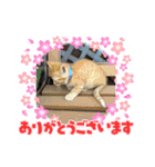 まろんちゃんとくるみちゃんと琥珀ちゃん（個別スタンプ：10）