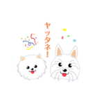 白犬のポム＆シルク1（個別スタンプ：1）