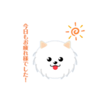 白犬のポム＆シルク1（個別スタンプ：2）