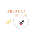 白犬のポム＆シルク1（個別スタンプ：3）