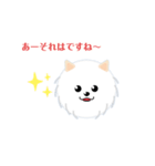 白犬のポム＆シルク1（個別スタンプ：5）