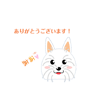 白犬のポム＆シルク1（個別スタンプ：6）
