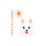 白犬のポム＆シルク1（個別スタンプ：7）