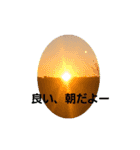 動物たちいた（個別スタンプ：6）