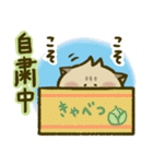 にゃんこ虎吉スタンプ パート35（個別スタンプ：25）