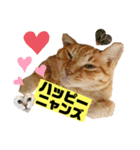 茶虎猫のニャン神タイガース 猫応援Ver.（個別スタンプ：3）