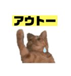 茶虎猫のニャン神タイガース 猫応援Ver.（個別スタンプ：11）