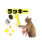 茶虎猫のニャン神タイガース 猫応援Ver.（個別スタンプ：15）