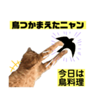 茶虎猫のニャン神タイガース 猫応援Ver.（個別スタンプ：22）