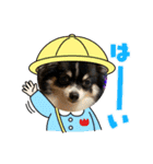 ノイさんスタンプ2（個別スタンプ：8）