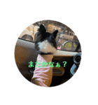 ノイさんスタンプ2（個別スタンプ：9）