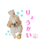 ラブペキニーズ2（個別スタンプ：14）