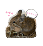 3びきのこねずみ（個別スタンプ：1）