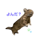3びきのこねずみ（個別スタンプ：3）