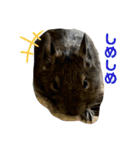 3びきのこねずみ（個別スタンプ：6）