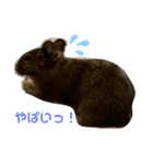 3びきのこねずみ（個別スタンプ：7）