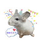 3びきのこねずみ（個別スタンプ：15）