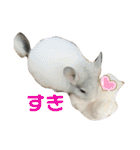 3びきのこねずみ（個別スタンプ：16）