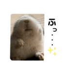 3びきのこねずみ（個別スタンプ：17）